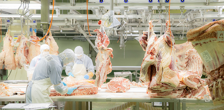 食肉加工の様子